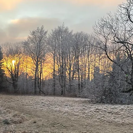 Апартаменты Schulze