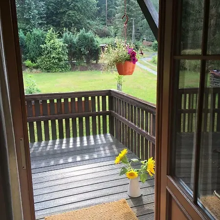 Daire Schulze Jonsdorf, Waldblick