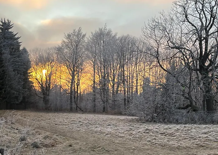 Апартаменты Schulze